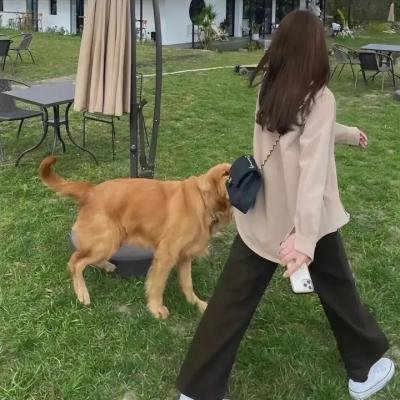超感猎杀第二季